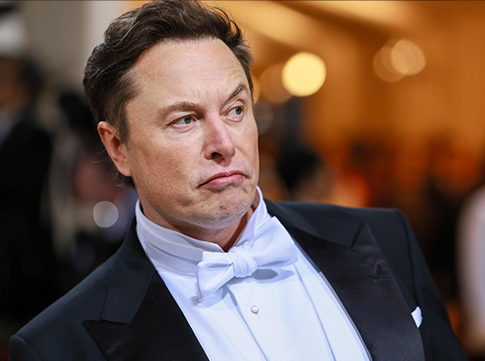 Elon Musk : పిట్ట పీల్చేస్తోంది…