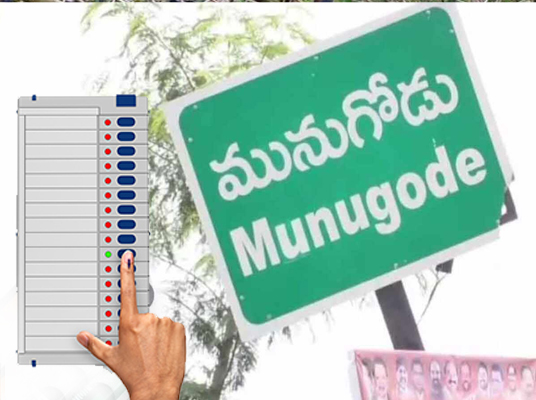 By Election : సరిహద్దుల్లో 100 చెక్‌పోస్టులు: సీఈవో వికాస్‌రాజ్‌