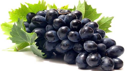 Benefits of Black Grapes : నల్ల ద్రాక్షతో జుట్టు రాలడం తగ్గుతుంది