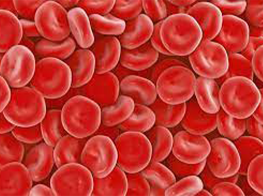 Blood Cells : ఇక రక్త దాతల కోసం వెతుక్కునే అవసరం లేదు… ల్యాబ్ లో తయారు చేసిన ఎర్ర రక్త కణాలతో క్లినికల్ ట్రయల్స్