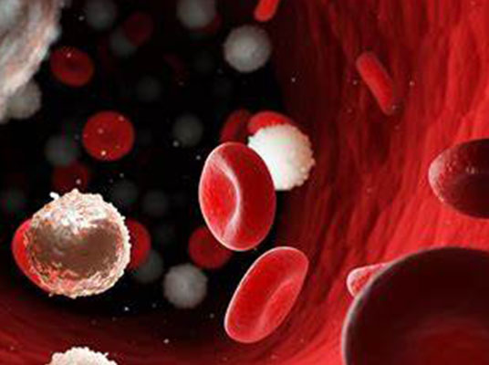 Qualities of Blood Cancer