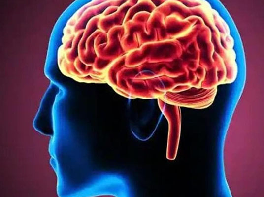 Brain: మెదడు పనితీరు మెరుగుపడాలంటే!