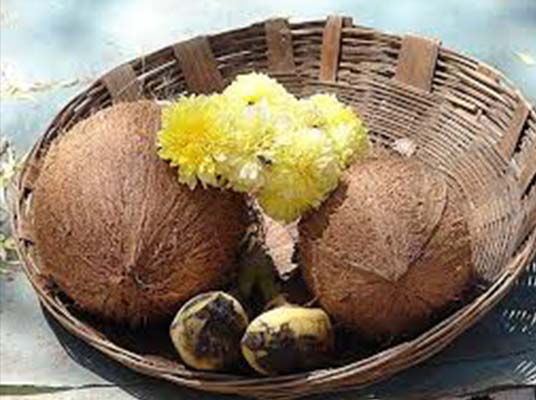 Coconut : పూజలో కొబ్బరికాయ కుళ్లితే మంచిదేనా..?