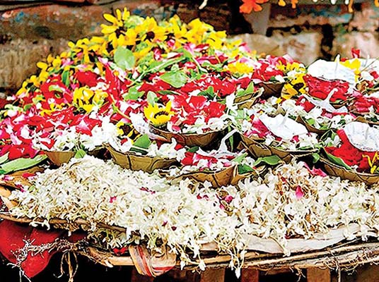 Flowers : ఇవాళ కోసిన పువ్వులు రేపు వాడొచ్చా…?