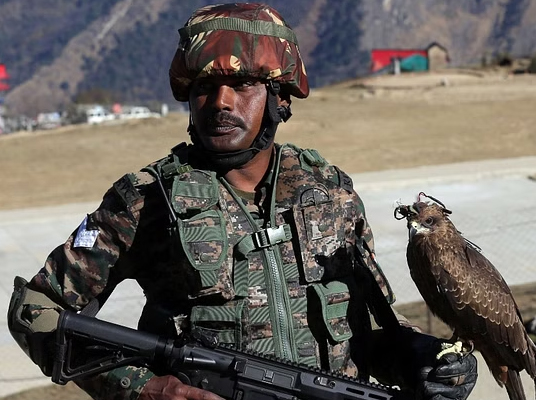 Indian Army Eagles : భారత సైన్యంలో గద్దలకు ప్రత్యేక ట్రైనింగ్..