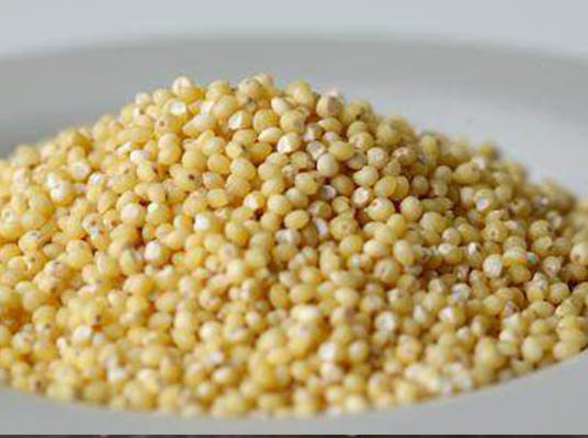 Foxtail Millet Benefits : కొర్రలు తింటే మతిమరుపు మాయం