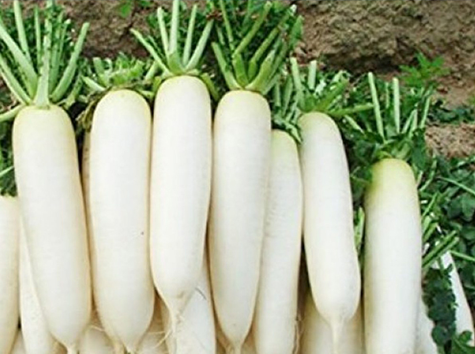 Radish : ముల్లంగితో పాటు ఇవి తింటే డేంజర్