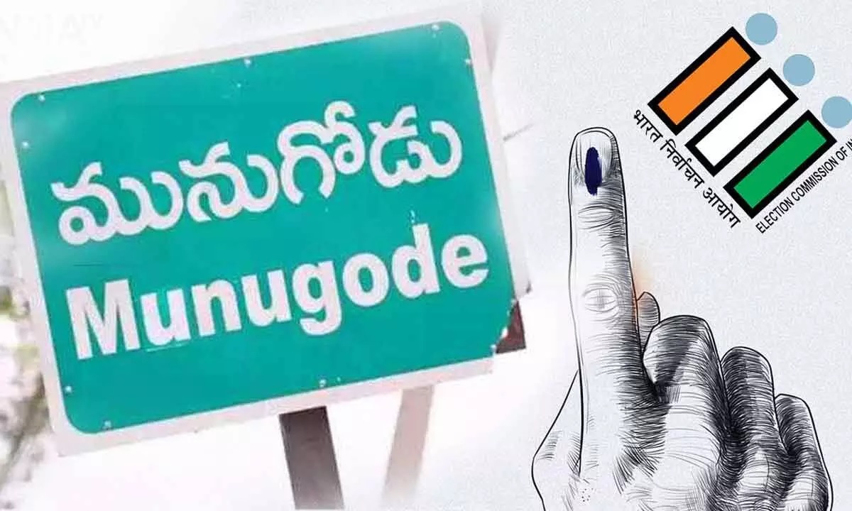 Munugode Polling : మునుగోడు టైమ్ లైన్.. పోలింగ్ అప్ డేట్స్..