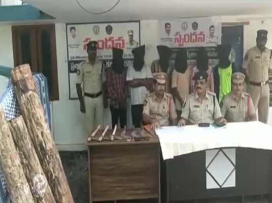 Nellore Redsanders Smugglers : తమిళనాడుకు ఎర్రచందనం స్మగ్లింగ్ చేస్తున్న ముఠా అరెస్ట్