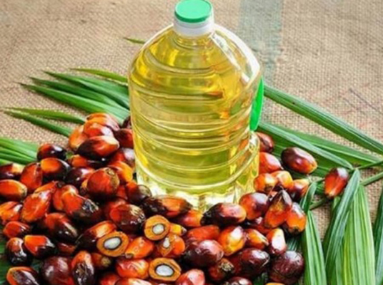 Edible Oil Prices to go up : మళ్లీ.. వంట నూనె మంట!