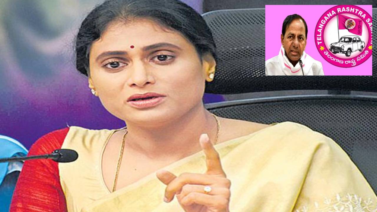 Sharmila: విష నాగు షర్మిల.. బుస్సుమన్న గులాబీ మహిళ..