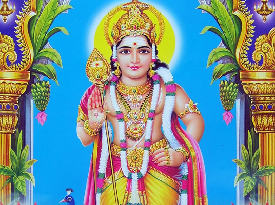 Subramanya Swamy Pooja : సుబ్రహ్మణ్యస్వామి షష్టి రోజు పూజ చేస్తే కళ్యాణయోగమే..