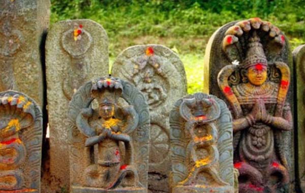 What is Naga Dosha : నాగదోషం ఎలా మొదలవుతుంది ?