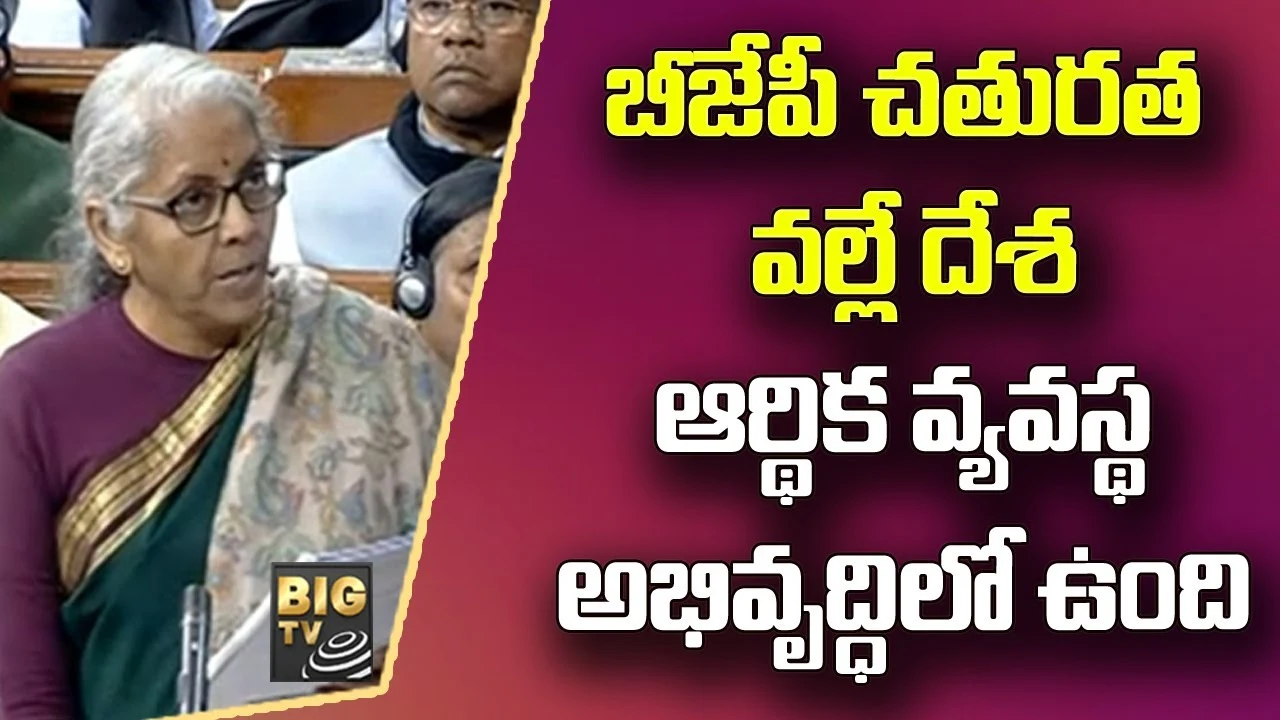 Nirmala Sitharaman: బీజేపీ చతురత వల్లే దేశ ఆర్థిక వ్యవస్థ అభివృద్ధిలో ఉంది