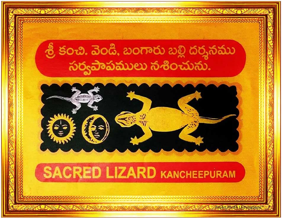 Lizard : బల్లి చెప్పే శకునంలో నిజం ఉందా..?