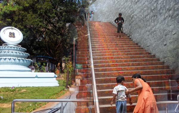 Tirumala Darshan : శ్రీవారి దర్శనానికి మెట్లమార్గంలో వెళ్తేనే పుణ్యం కలుగుతుందా..?