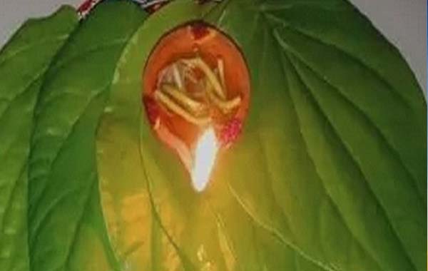 Benefits Of Betel Lamp : చిన్న పిల్లలతో తమలపాకులోనే దీపాన్ని వెలిగిస్తే సరస్వతి కటాక్షమే.!