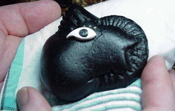 Shaligram: గండకీ నది నుంచి పుట్టిన సాలగ్రామాలు