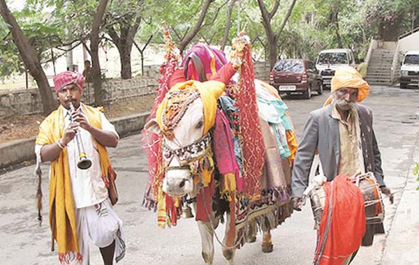 Sankranthi Celebrations : హరిదాసులు, గంగిరెద్దులు సంక్రాంతి సమయంలోనే ఎందుకు కనిపిస్తారు…