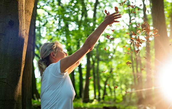 Forest Bathing:ట్రెండ్ సృష్టిస్తున్న ఫారెస్ట్ బాతింగ్.. వృద్ధుల కోసం..