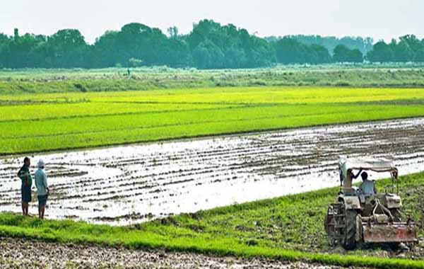 Agriculture : వ్యవసాయంలో నీటి సమస్యకు చెక్..!