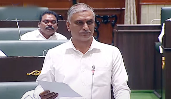 Harish Rao: వెన్నెలను చూడకుండా చందమామలోని మచ్చలను చూస్తున్నారా?