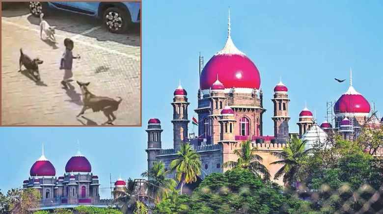 Dogs: కుక్కల దాడి కేసులో హైకోర్టు మొట్టికాయలు.. నగరంలో కుక్కల వేట షురూ..