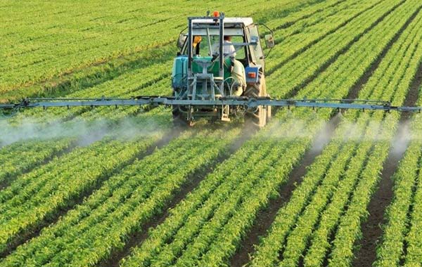 Iran Agriculture:వ్యవసాయంపై ఫోకస్ పెట్టిన ఇరాన్.. అదే ప్లాన్..!