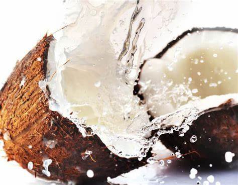 Coconut Water:కొబ్బరికాయ నీళ్లు దేవుడిపై చల్లాలా