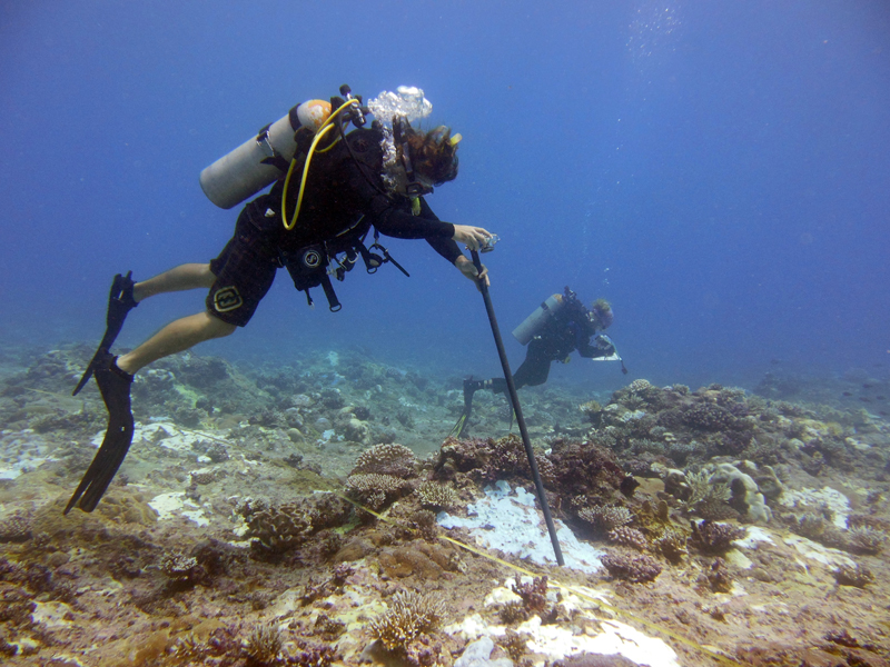 Underwater Technology:అండర్ వాటర్ టెక్నాలజీలో పీహెచ్‌డీ కోర్సులు..