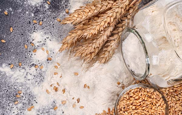 Wheat Flour : గోధుమపిండికి బదులుగా ఇది ఉపయోగించవచ్చు !