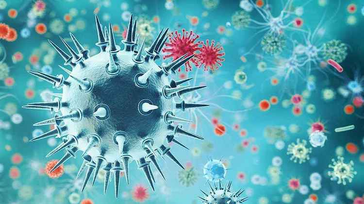 Flu Variant : మళ్లీ తెరపైకి ప్రాణాంతక వ్యాధి..