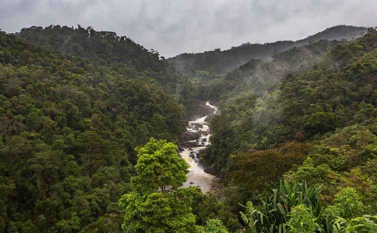 Mountains : 5.2 మిలియన్ హెక్టార్ల అడవులపై టెక్నాలజీ ఎఫెక్ట్..