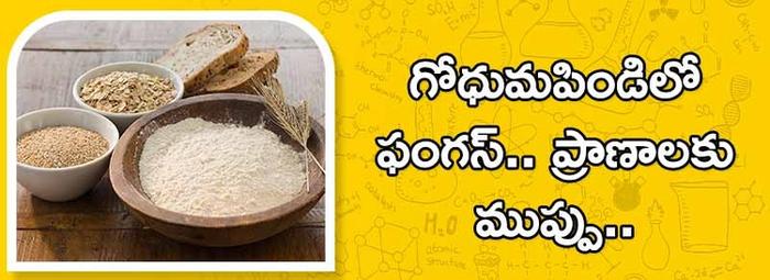 wheat flour