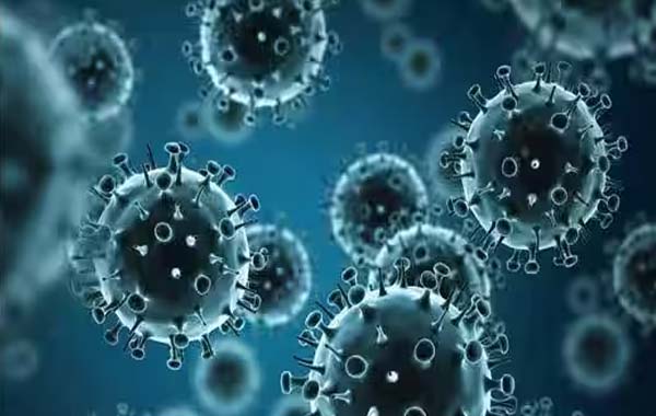 H3N2 Virus : H3N2 వైరస్ డేంజర్ బెల్స్.. ఇద్దరు మృతి.. కేంద్రం అలెర్ట్..