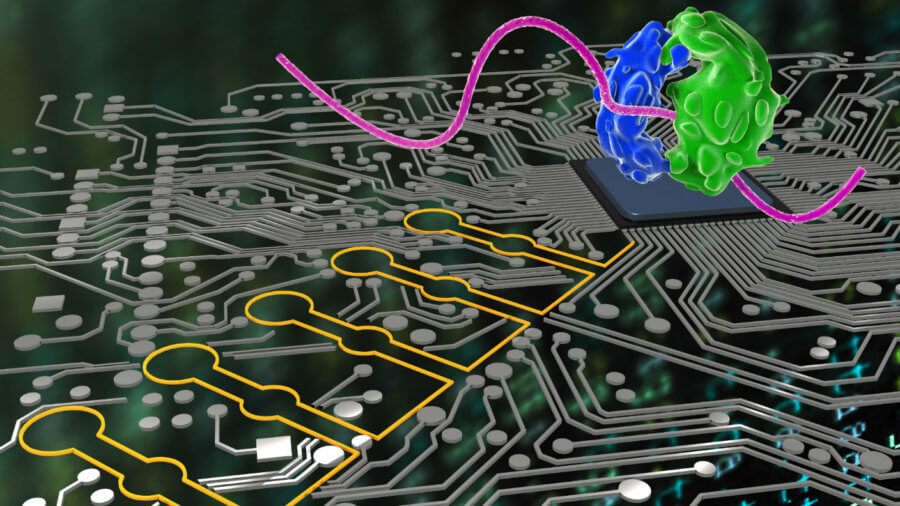 Computer Technology: మనిషి మెదడు, గుండె సామర్ధ్యంతో కంప్యూటర్ తయారీ..