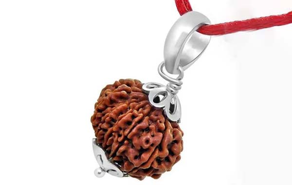 Rudraksha:రుద్రాక్ష ఎలా పుట్టింది?