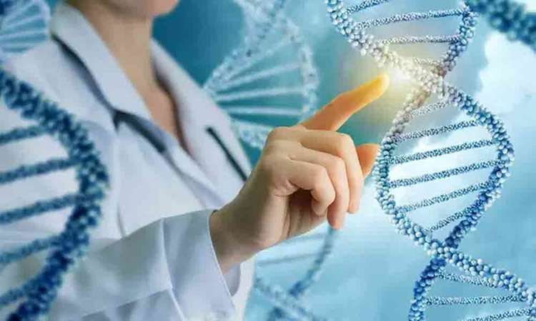 Gene Mapping:- స్వగోత్రానికి, జీన్ మ్యాపింగ్ కి సంబంధమేంటి