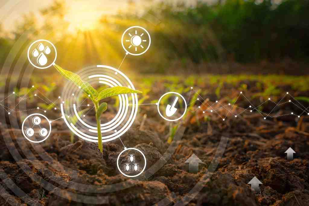 Soil Health:- మట్టి ఆరోగ్యం తెలుసుకోవడానికి ఆడియో టెక్నాలజీ…