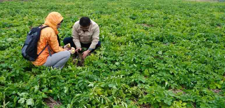 Help Farmers:- చైనాలో రైతులకు అండగా శాస్త్రవేత్తలు..