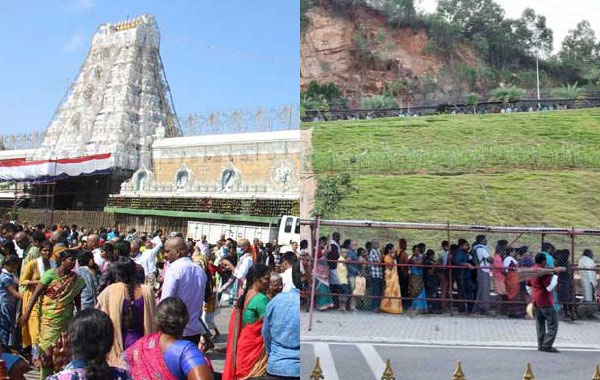 Tirumala : తిరుమలకు పోటెత్తిన భక్తులు.. దర్శనానికి ఎంత సమయం పడుతుందో తెలుసా..?