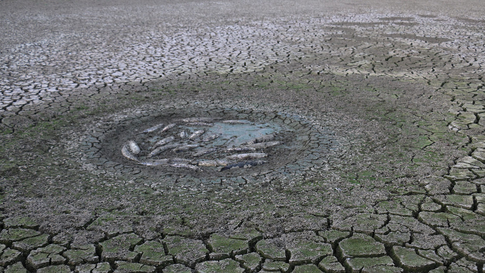 Flash Droughts:- పెరుగుతున్న ‘ఫ్లాష్ కరువులు’.. ప్రపంచవ్యాప్తంగా హెచ్చరిక..