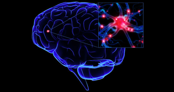 Glucose in Brain : బ్రెయిన్‌లో గ్లూకోజ్ శాతం.. అలాంటి వ్యాధులపై ప్రభావం..