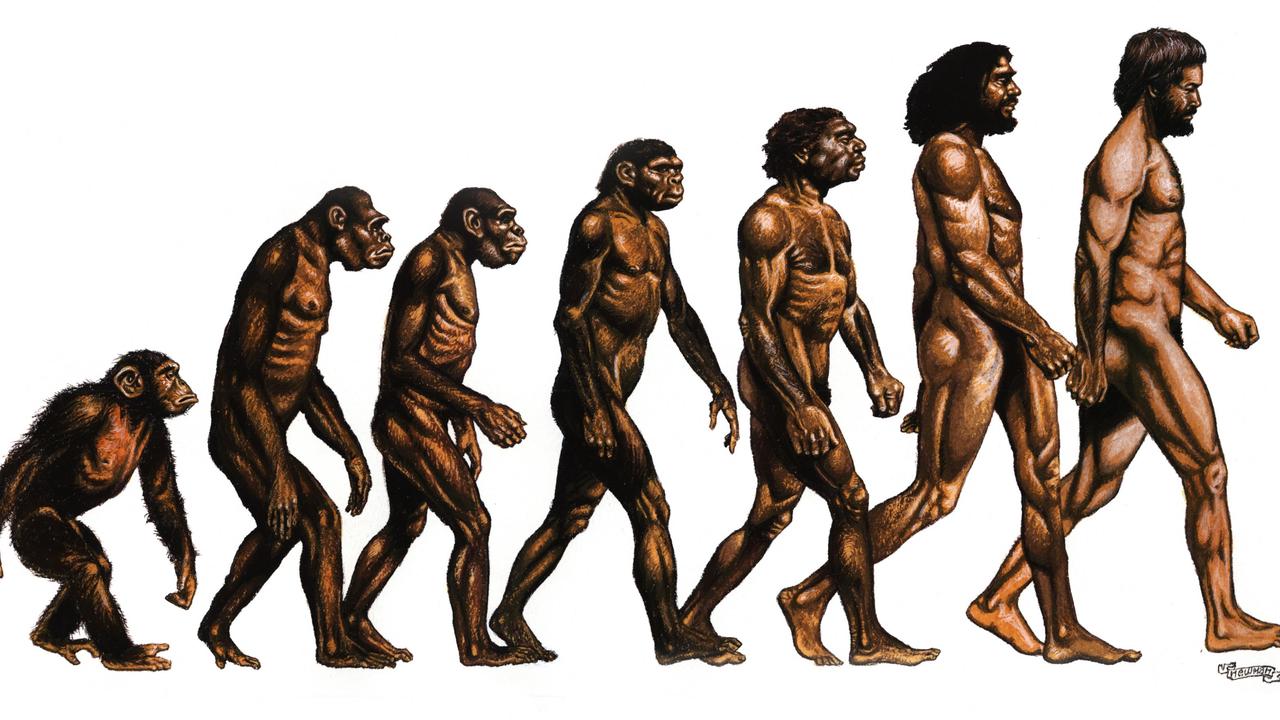 Human Evolution : కోతి నుండి మనిషి వచ్చాడా..? ఆధారం ఏంటంటే..?