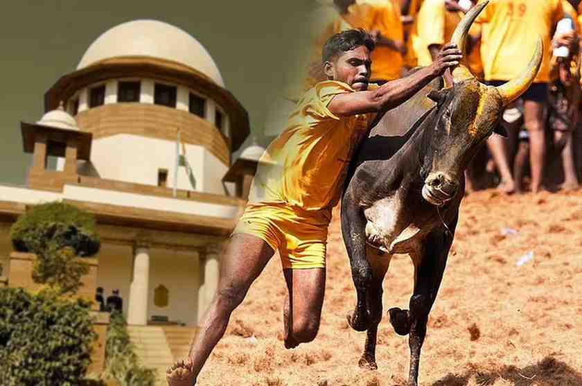 Jallikattu: జల్లికట్టు.. పట్టరా పట్టు.. సుప్రీం తీర్పుతో బుల్ జోరు..