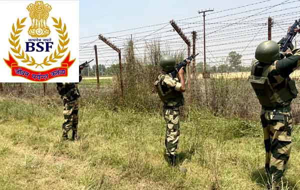 BSF Recruitment : BSFలో హెడ్‌కానిస్టేబుల్‌ పోస్టులు.. అర్హులు ఎవరంటే..?