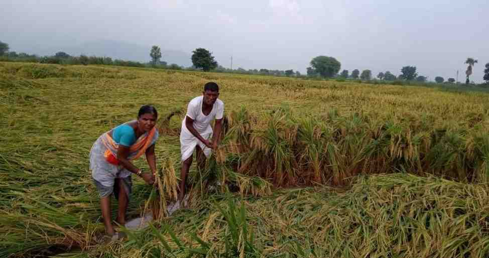 Rains: అకాల వర్షం.. పంట నష్టం.. అన్నదాతకు చానా కష్టం..