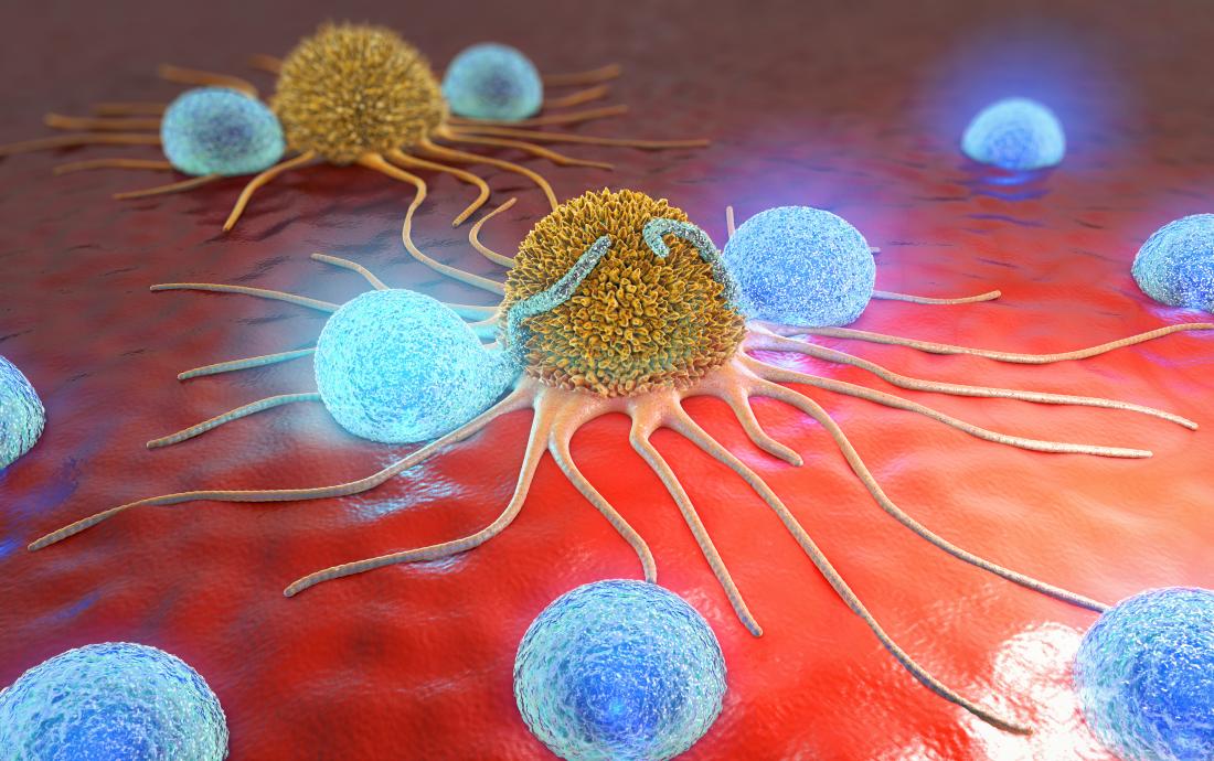 Cancer Cells : క్యాన్సర్ సెల్స్ వ్యాప్తిని తగ్గించే ప్రొటీన్..