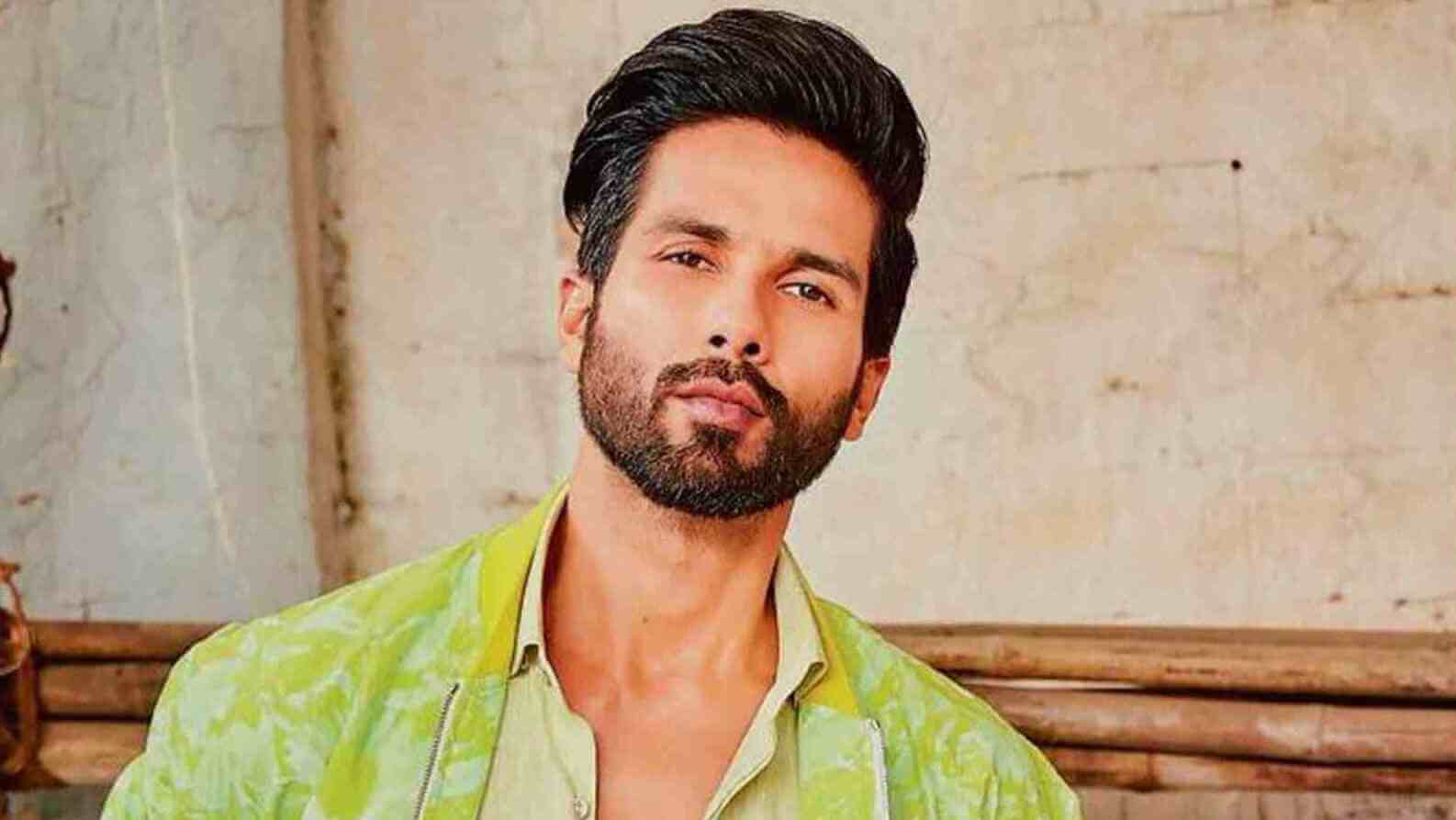 Shahid Kapoor comments : సౌత్ ప్రేక్షకులు హిందీ సినిమాలను యాక్సెప్ట్ చేయరు