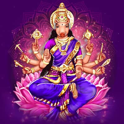 Varahi Navaratri Pooja : వారాహి నవరాత్రుల పూజతో దశ మారుతుందా…!